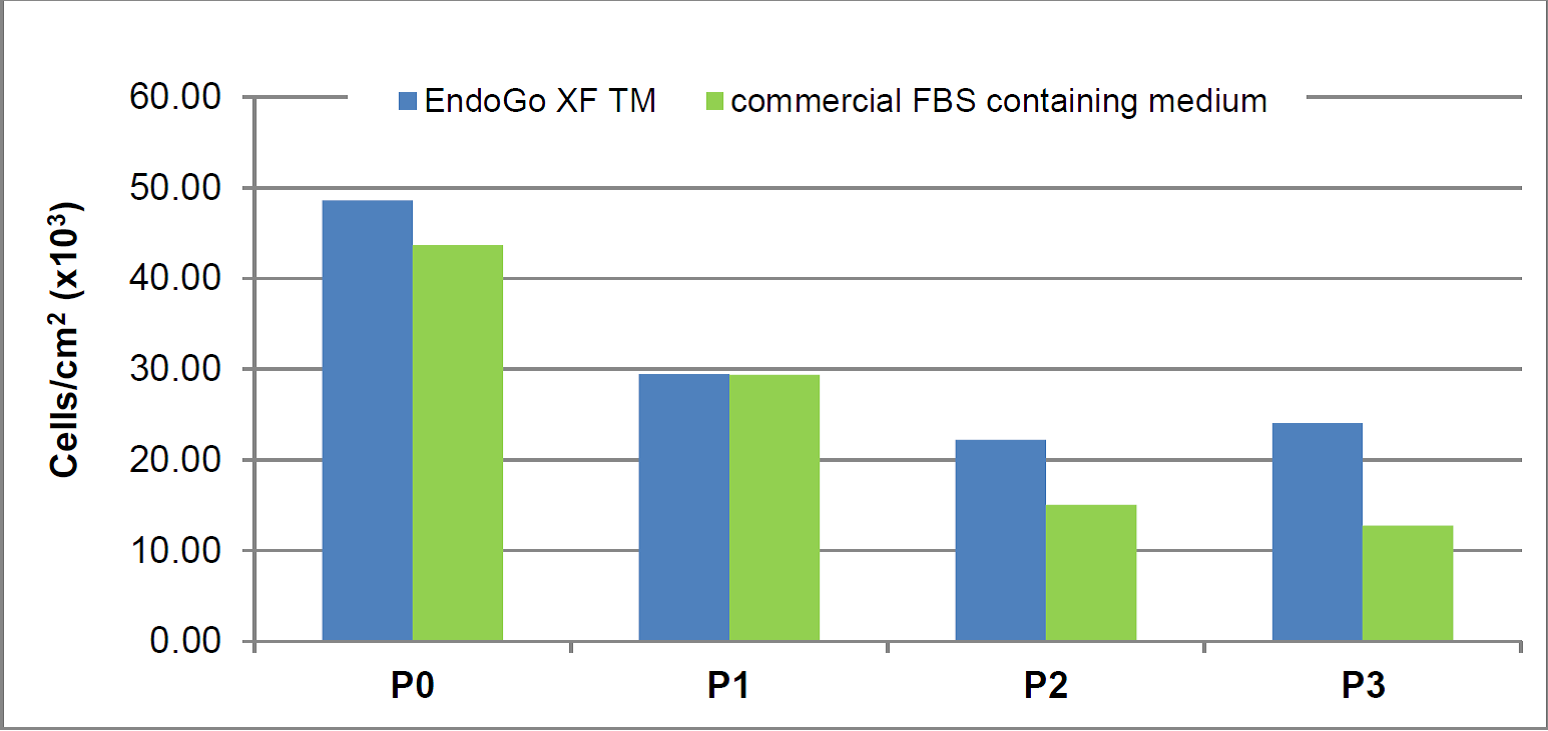 HDMEC endothelial cells proliferation in EndoGo XF Media