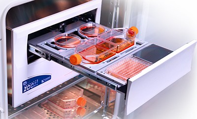 Live Cell Imaging Biological Industries