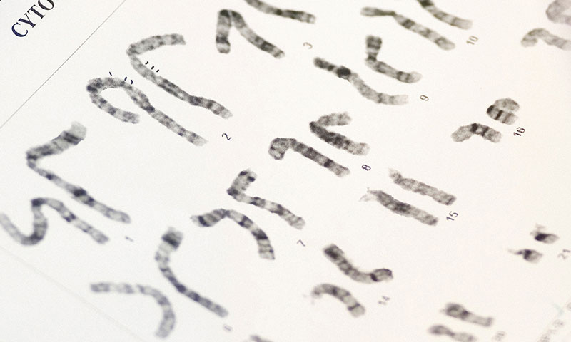 Karyotyping Reagents