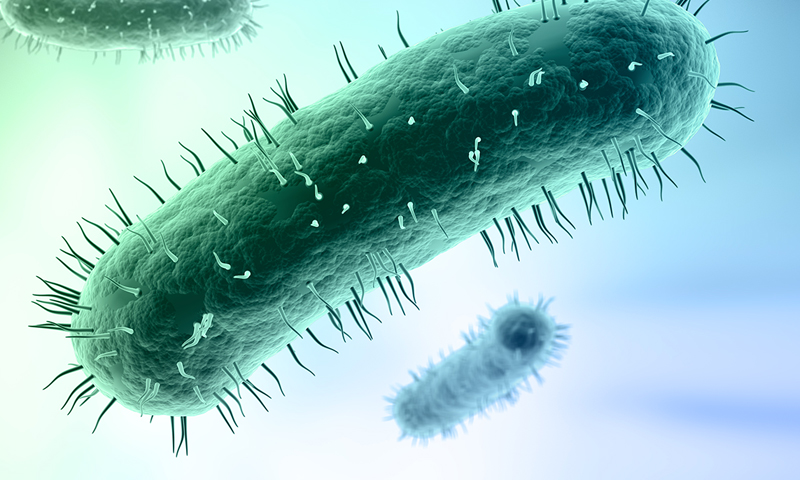 Mycoplasma Detection and Treatment