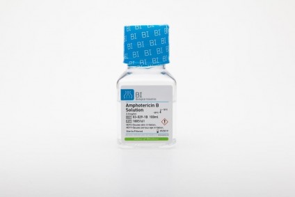 Amphotericin B (10X) Solution