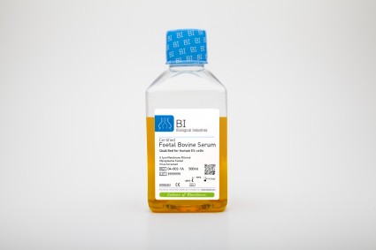 Heat Inactivated Fetal Bovine Serum, Qualified for hES & iPS Cells