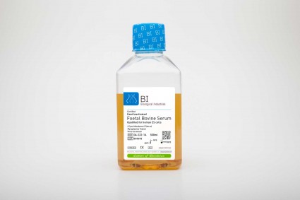 Fetal Bovine Serum (FBS), US Origin, Heat-Inactivated, Qualified for Human Embryonic Stem Cell 