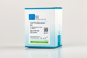 Cell Proliferation Kit (XTT based)