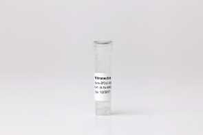 Vitronectin ACF (Human Recombinant), 200 µg