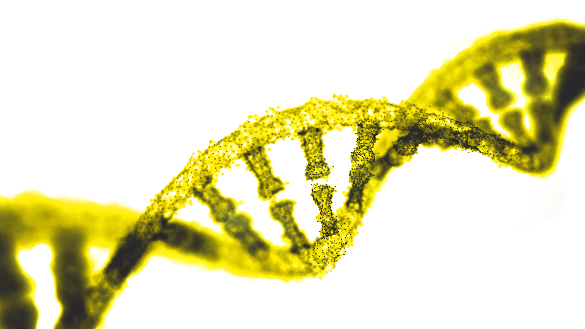 BI Human Cytogenetics Products