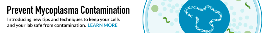 Keep your cells free from mycoplasma contamination - click here for more info